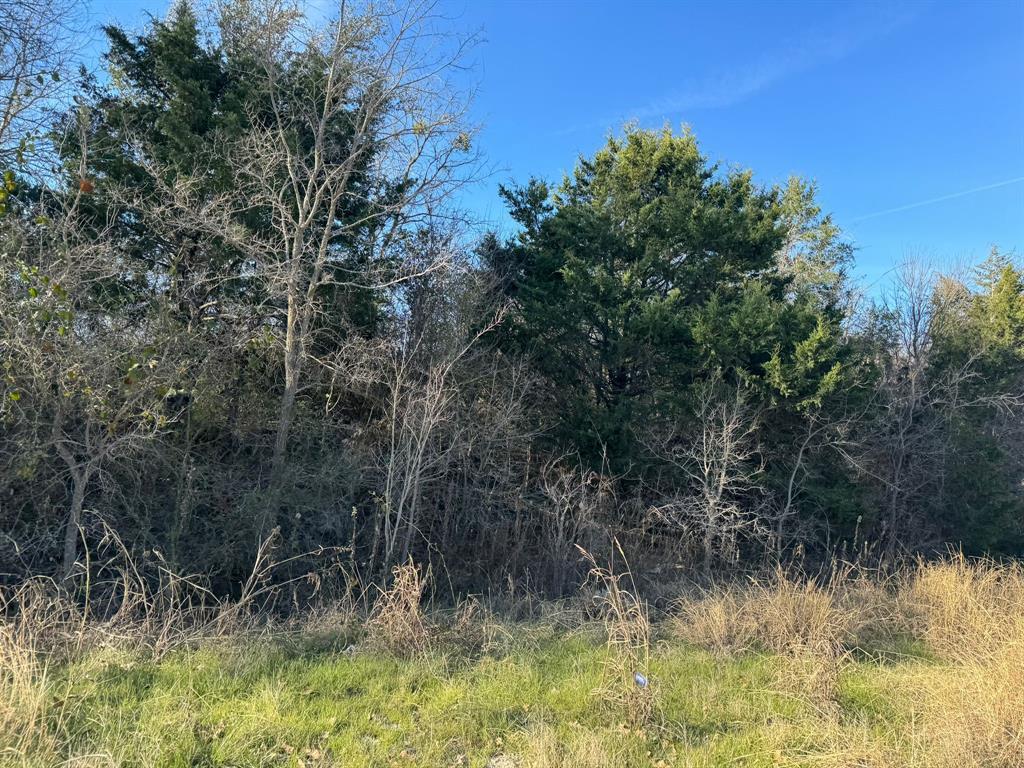 8405 Taylorsville RD, Dale, TX 78616 photo 4