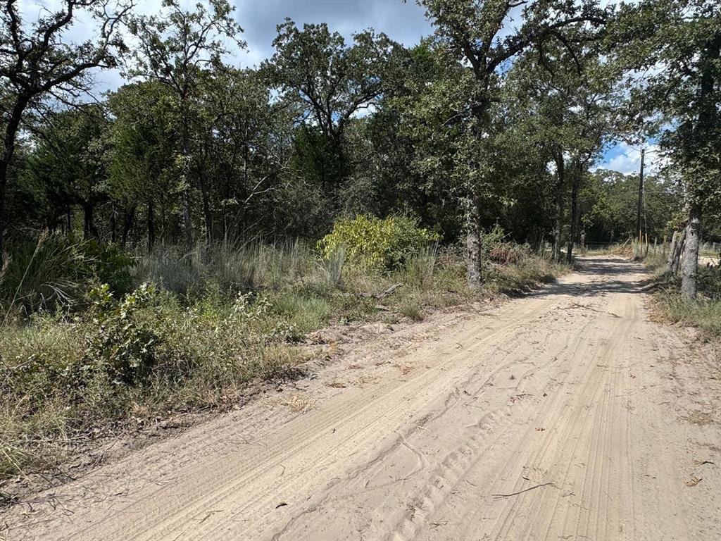 [Lot 2] 000 Jordan LN, Elgin, TX 78621 photo 5
