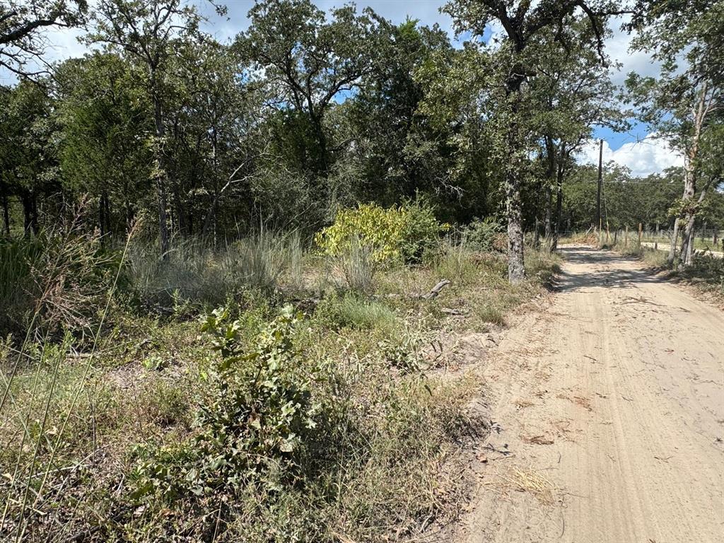 [Lot 2] 000 Jordan LN, Elgin, TX 78621 photo 4