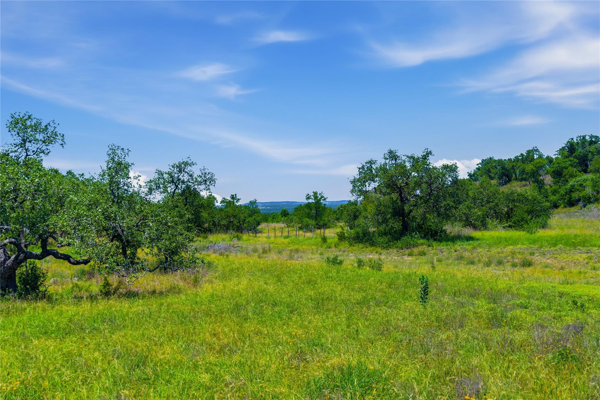 623 Whiskey TRL, Blanco, TX 78606 photo 2
