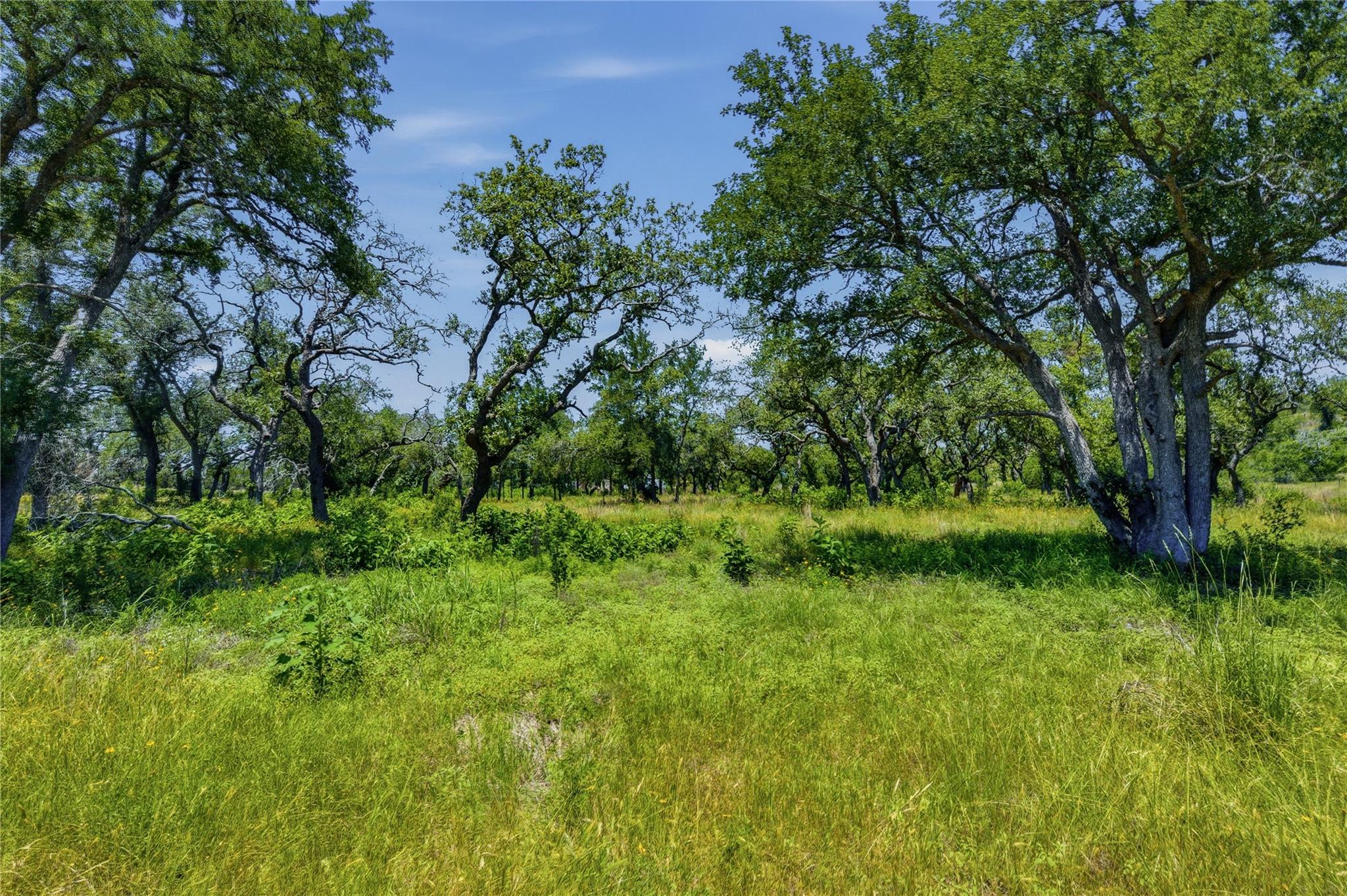 623 Whiskey TRL, Blanco, TX 78606 photo 3