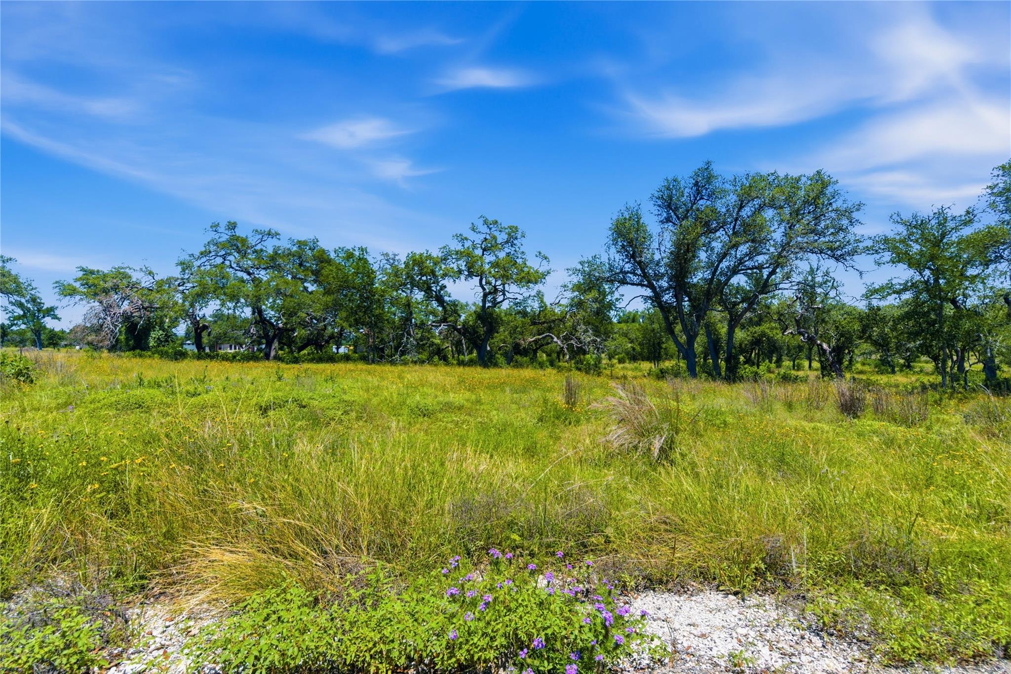 623 Whiskey TRL, Blanco, TX 78606 photo 4