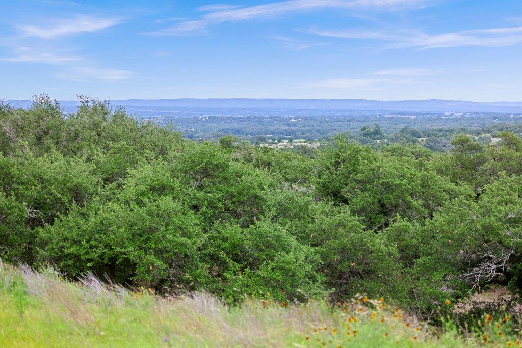 292 Scenic Hills CT, Blanco, TX 78606 photo 3