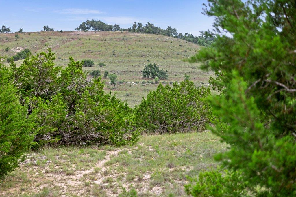 292 Scenic Hills CT, Blanco, TX 78606 photo 4
