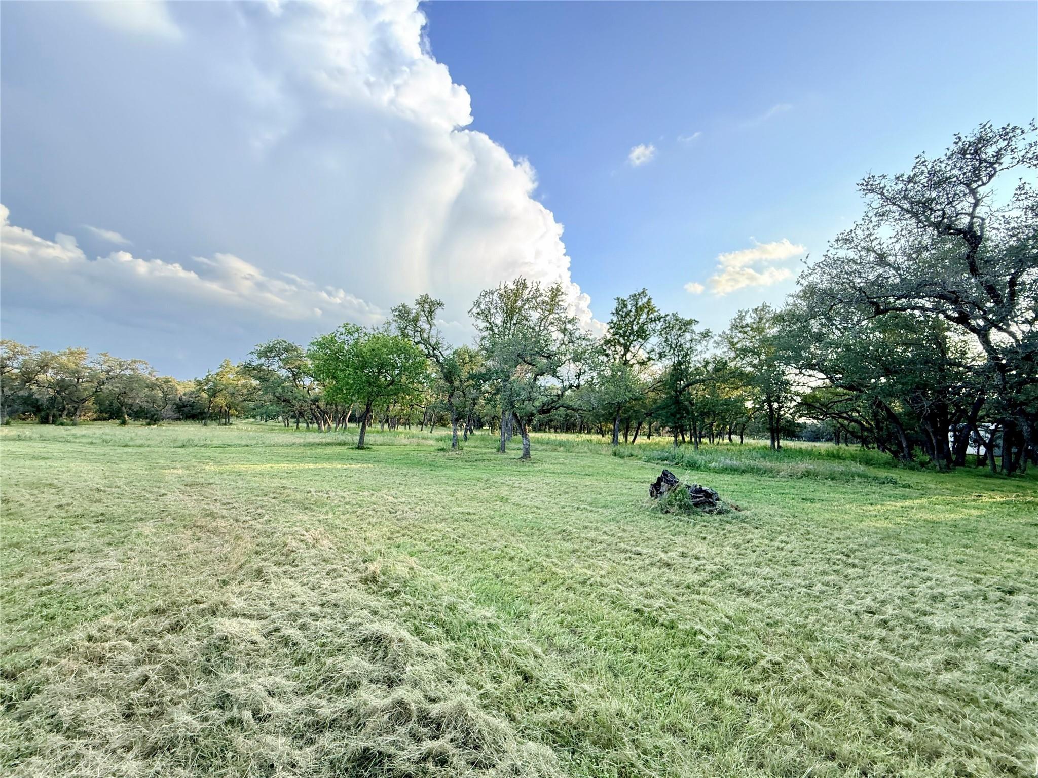 1435 Hilliard RD, San Marcos, TX 78666 photo 5