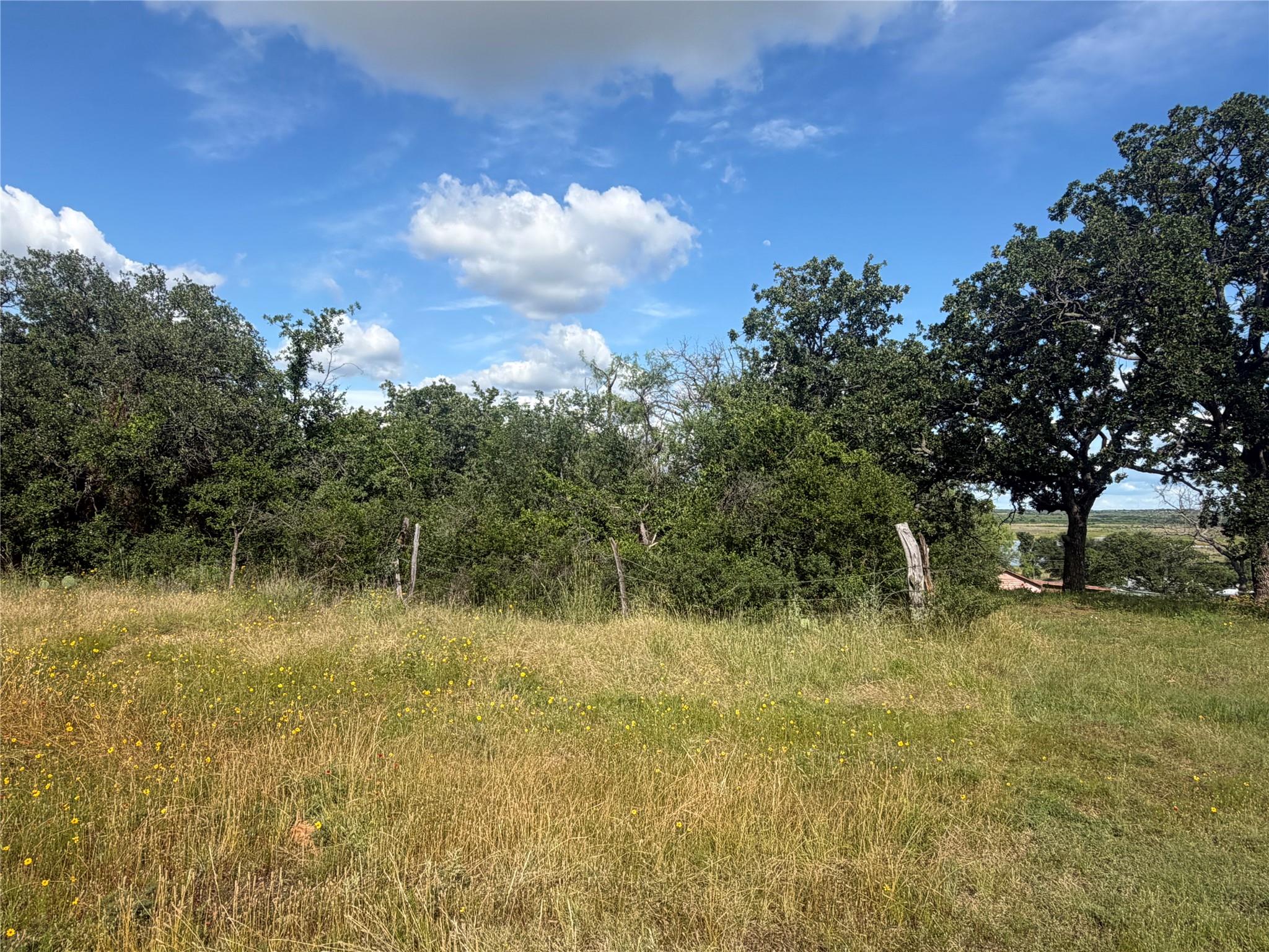 TBD FM 2231 RD, Breckenridge, TX 76242 photo 3