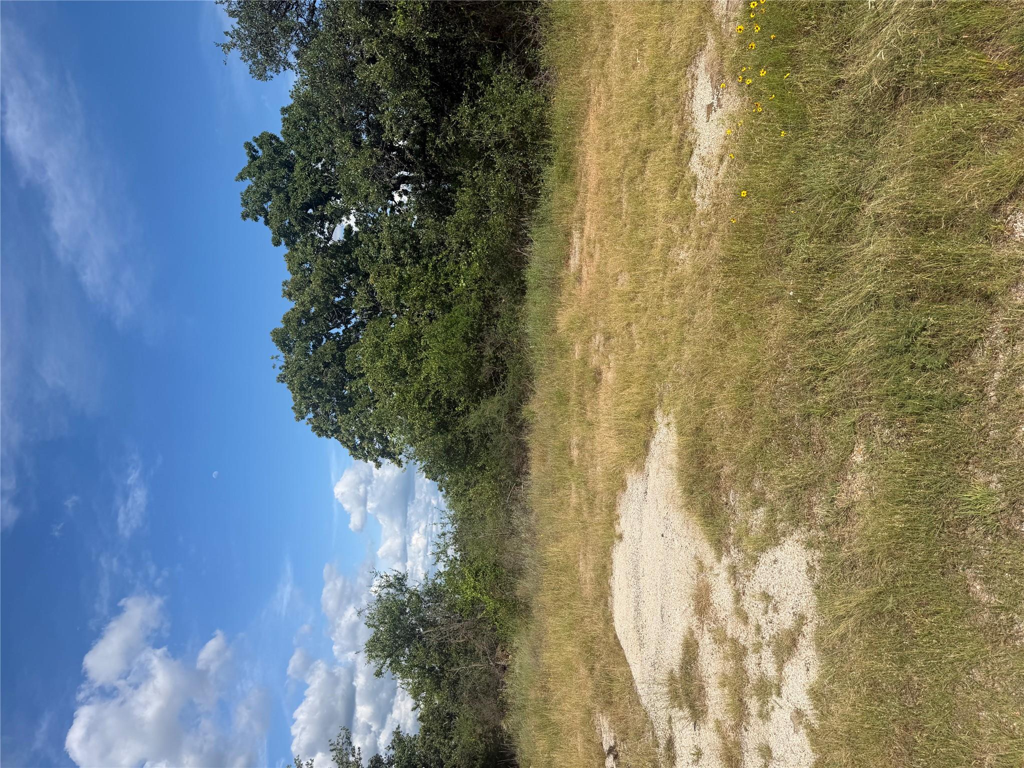 TBD FM 2231 RD, Breckenridge, TX 76242 photo 4