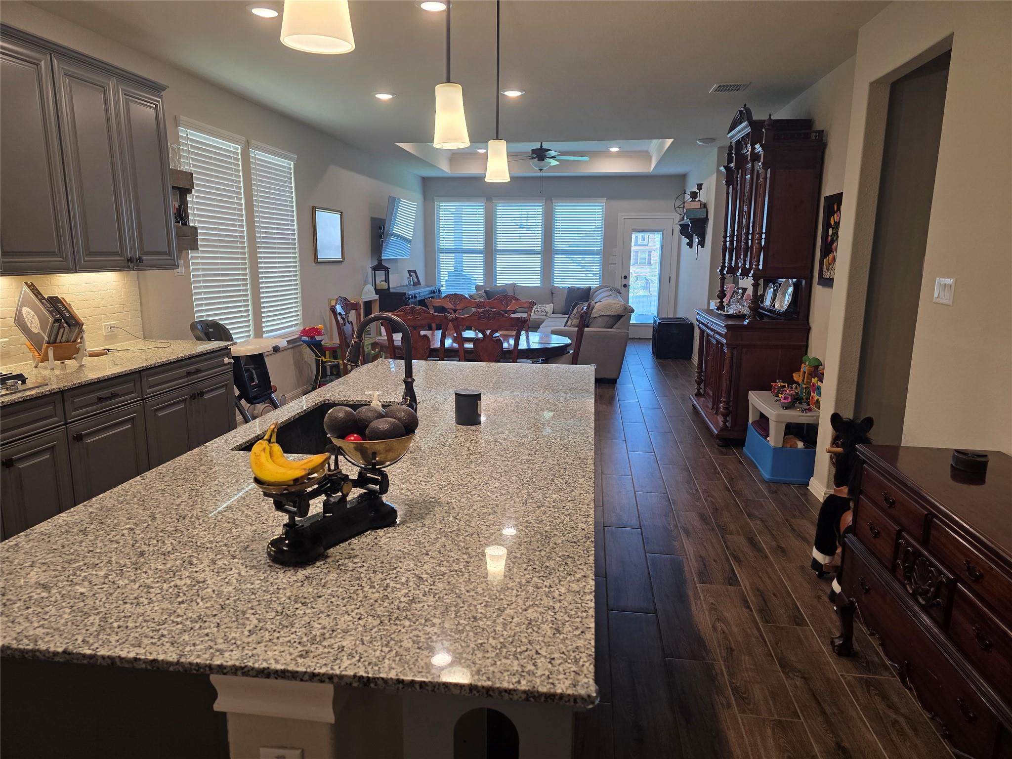 461 Grace Lilly DR, Buda, TX 78610 photo 3
