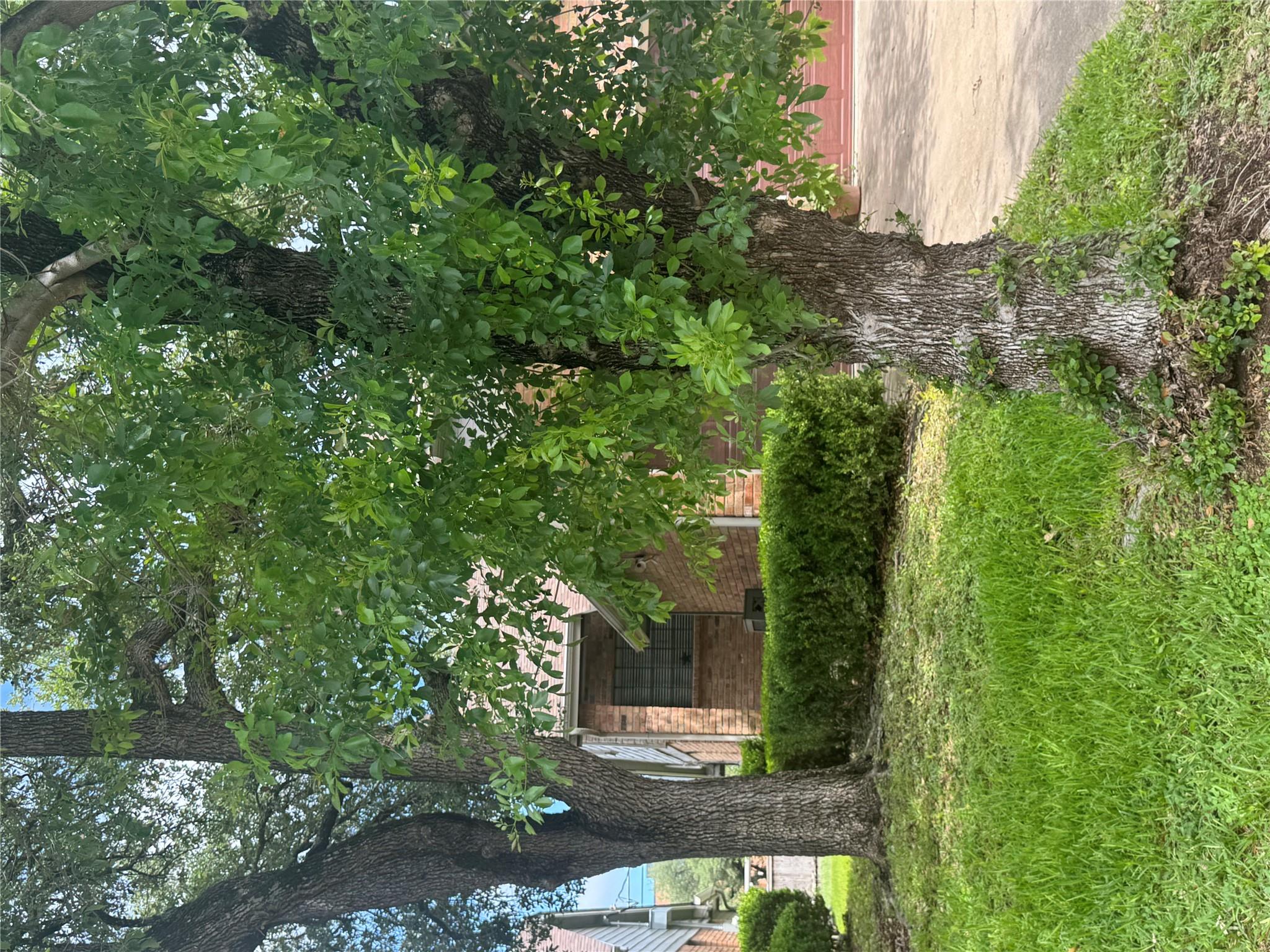 8502 Cima Oak LN #A, Austin, TX 78759 photo 2