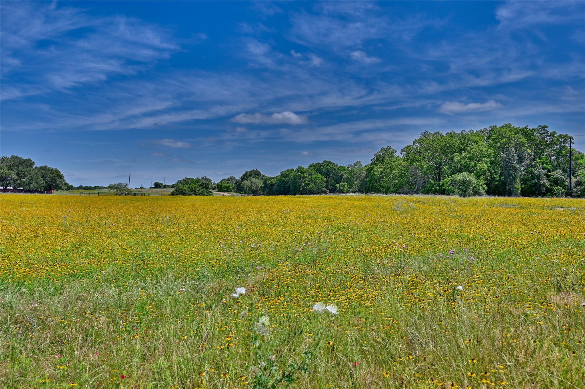 2165 County Road 250, Weimar, TX 78962 photo 3