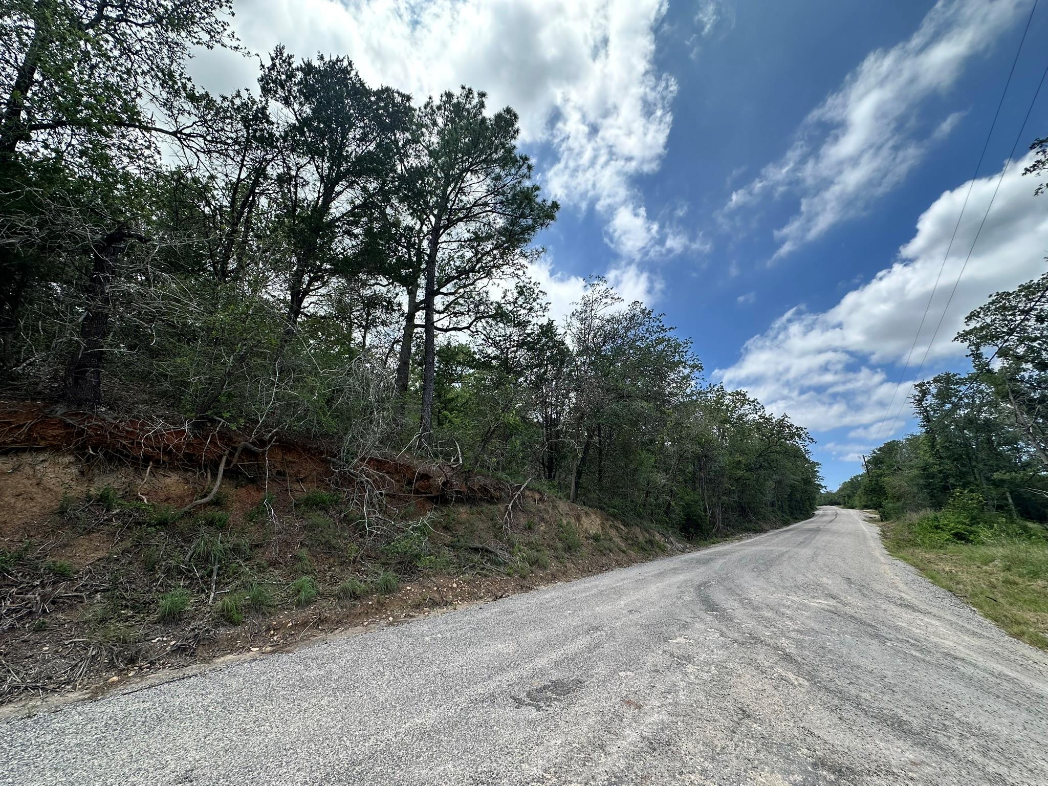 173 Kaaawa LN, Bastrop, TX 78602 photo 2