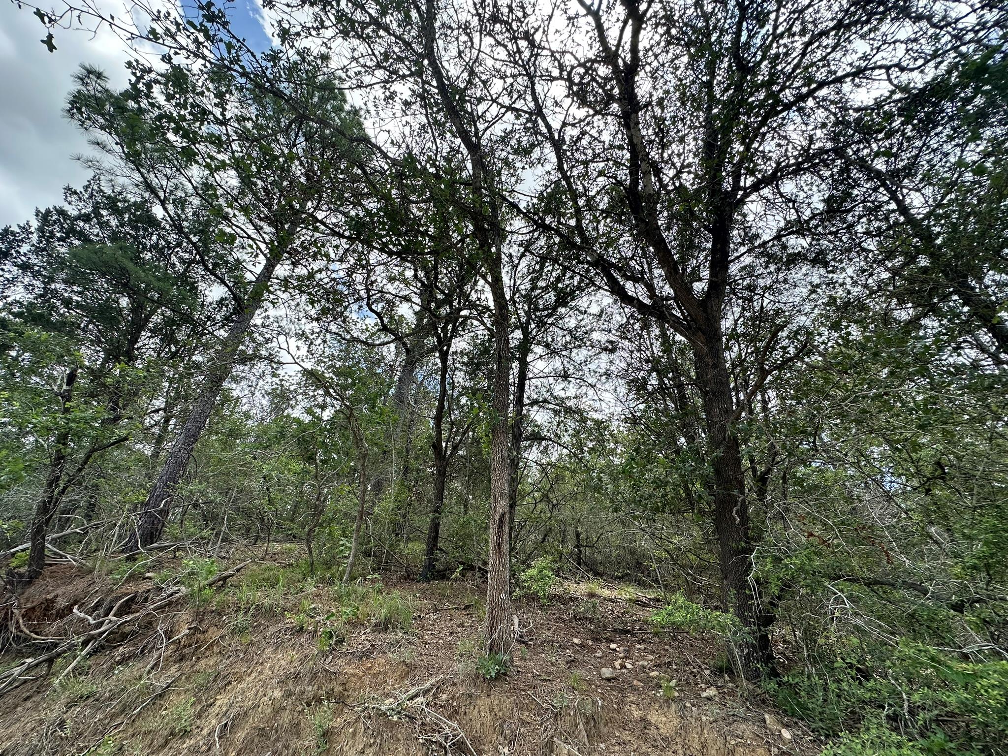 173 Kaaawa LN, Bastrop, TX 78602 photo 3