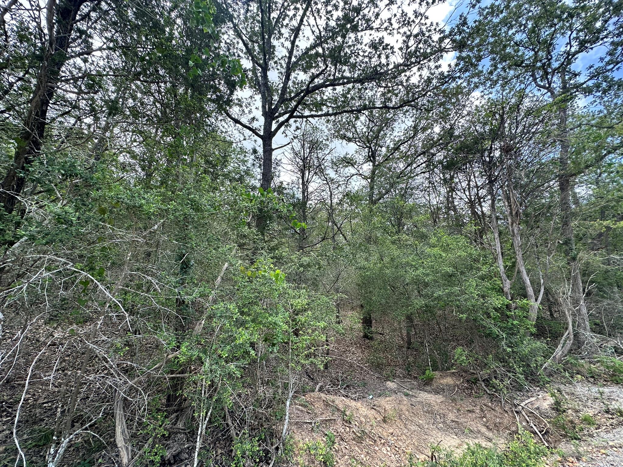 173 Kaaawa LN, Bastrop, TX 78602 photo 4