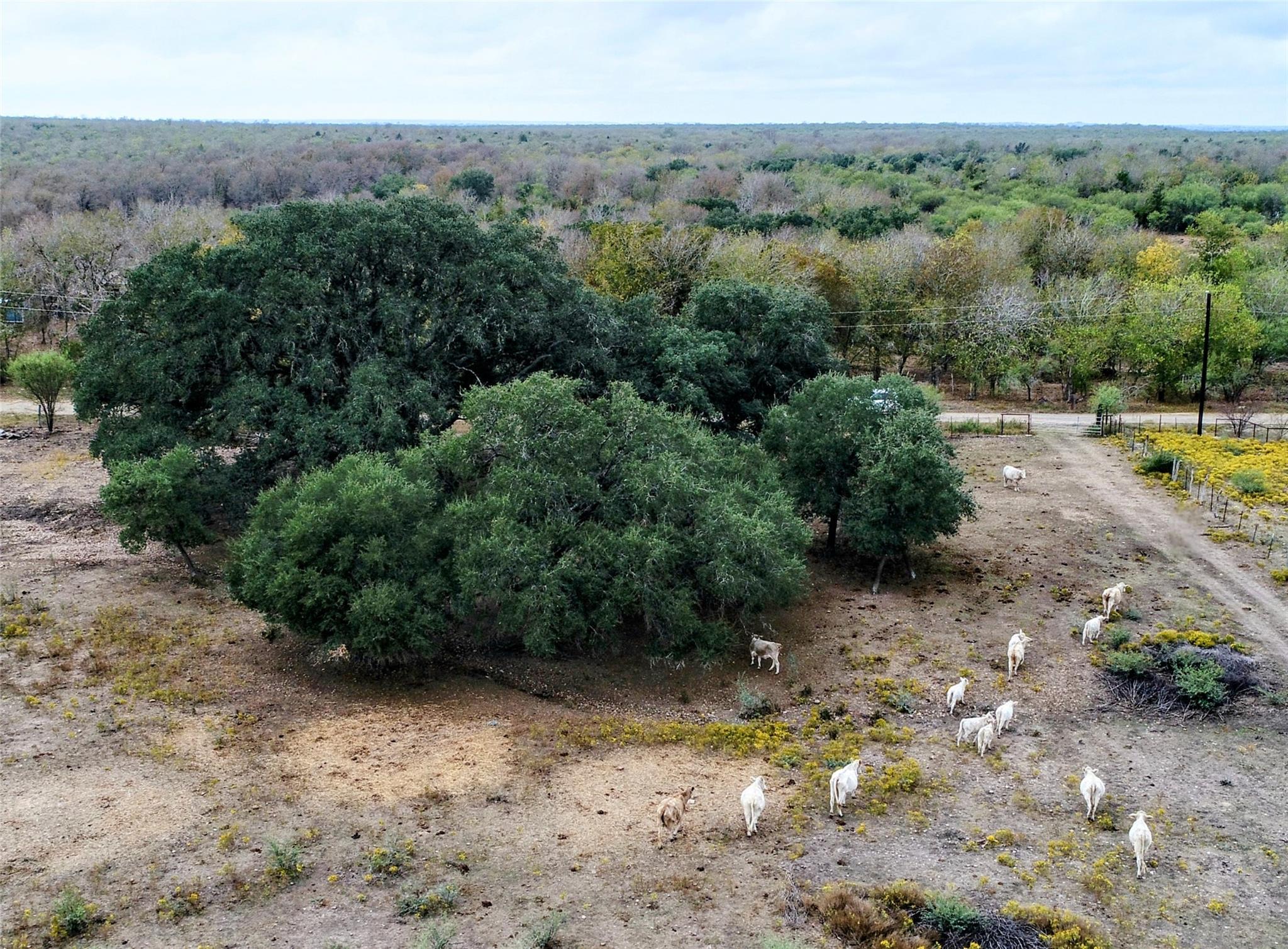 387 Black Watch LN, Lockhart, TX 78644 photo 2
