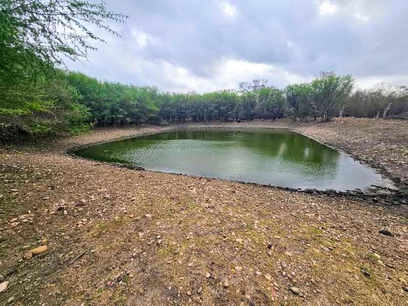 415 Black Watch LN, Lockhart, TX 78644 photo 3