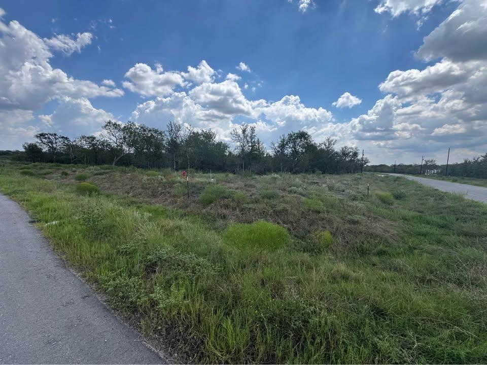 225 Brinley Mae WAY, Lockhart, TX 78644 photo 4