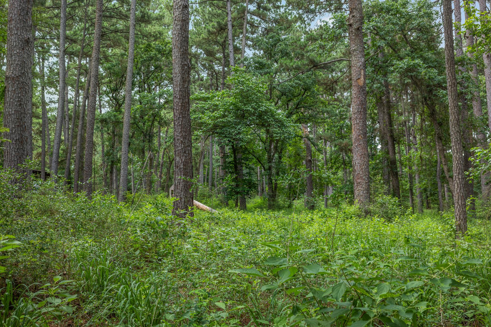 5772 PR 2065, Centerville, TX 75833 photo 2