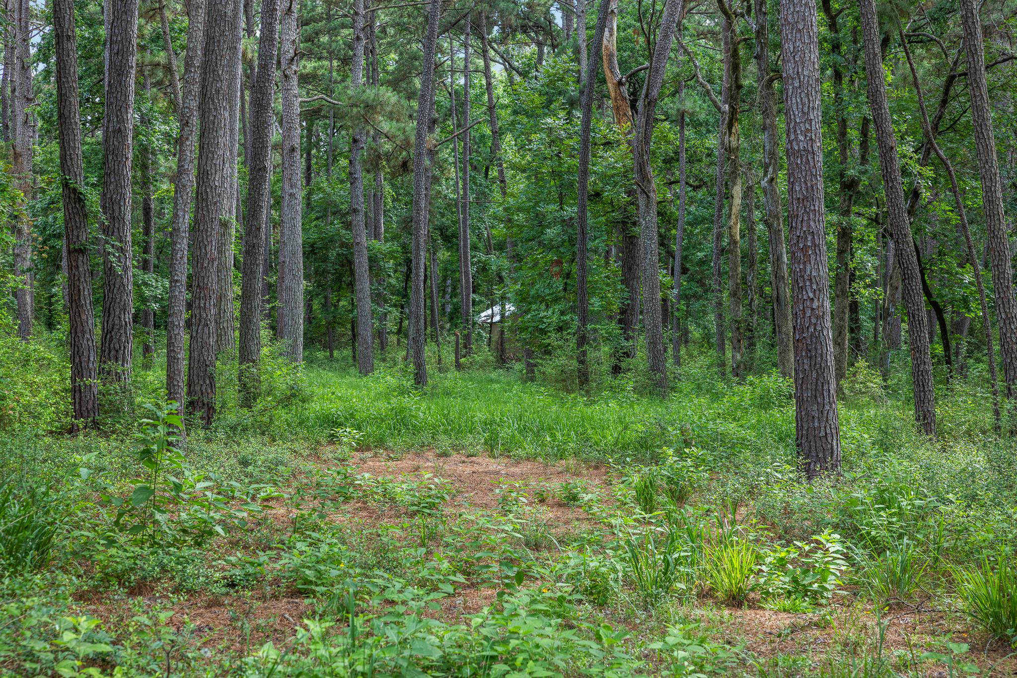 5772 PR 2065, Centerville, TX 75833 photo 3