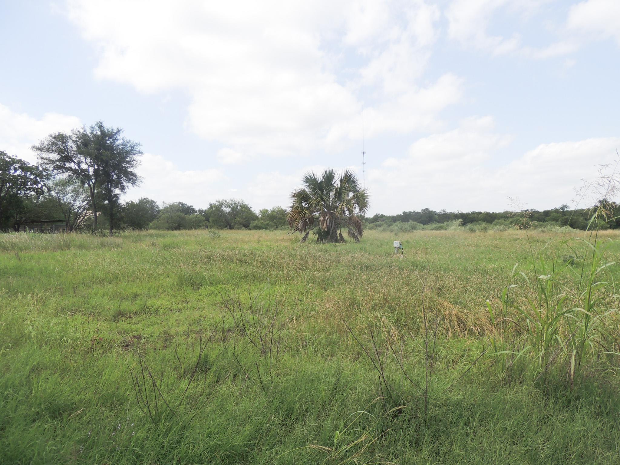 267 Linam LN, Cedar Creek, TX 78612 photo 4