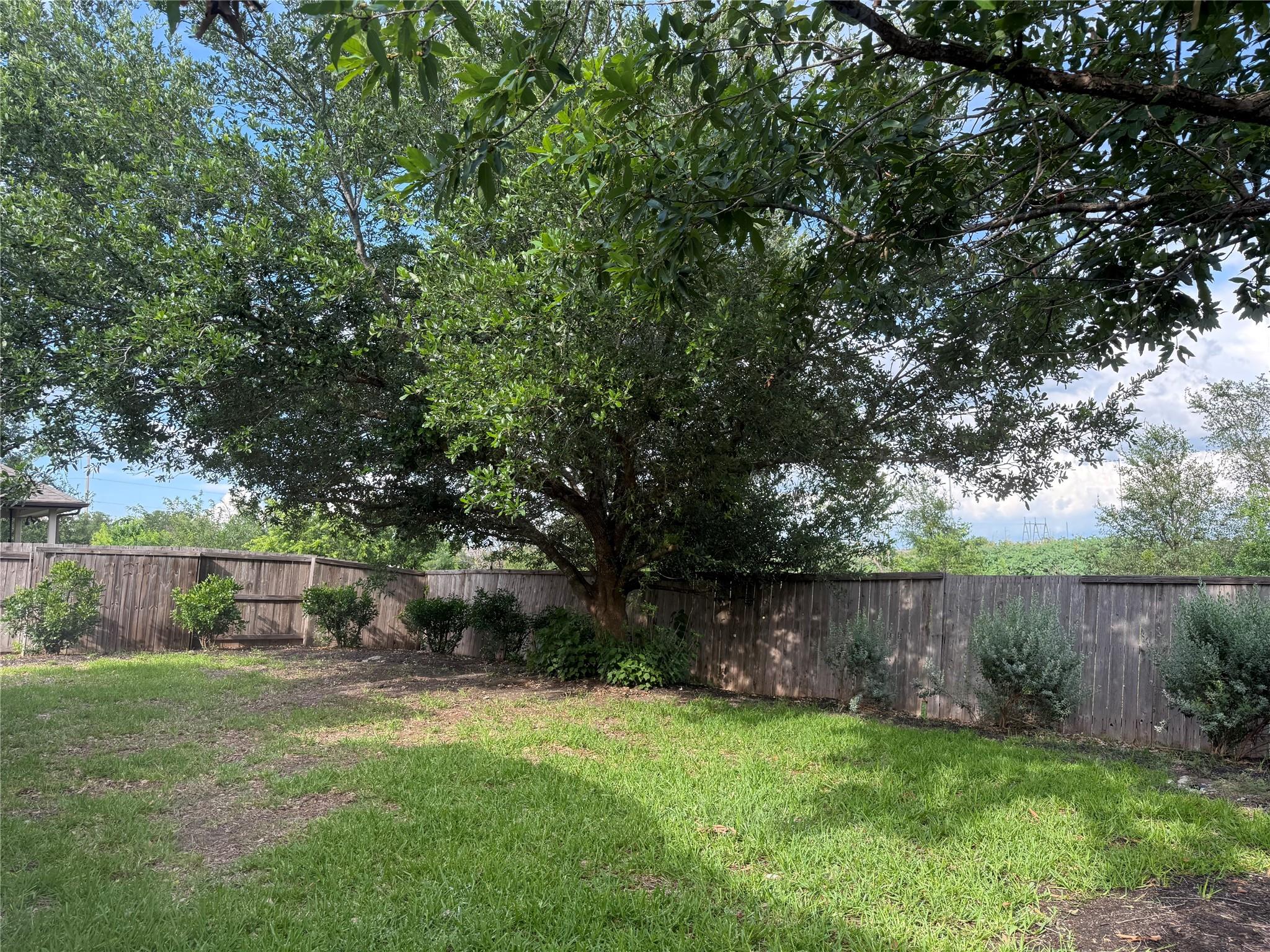 11633 Sun Glass DR, Manor, TX 78653 photo 5