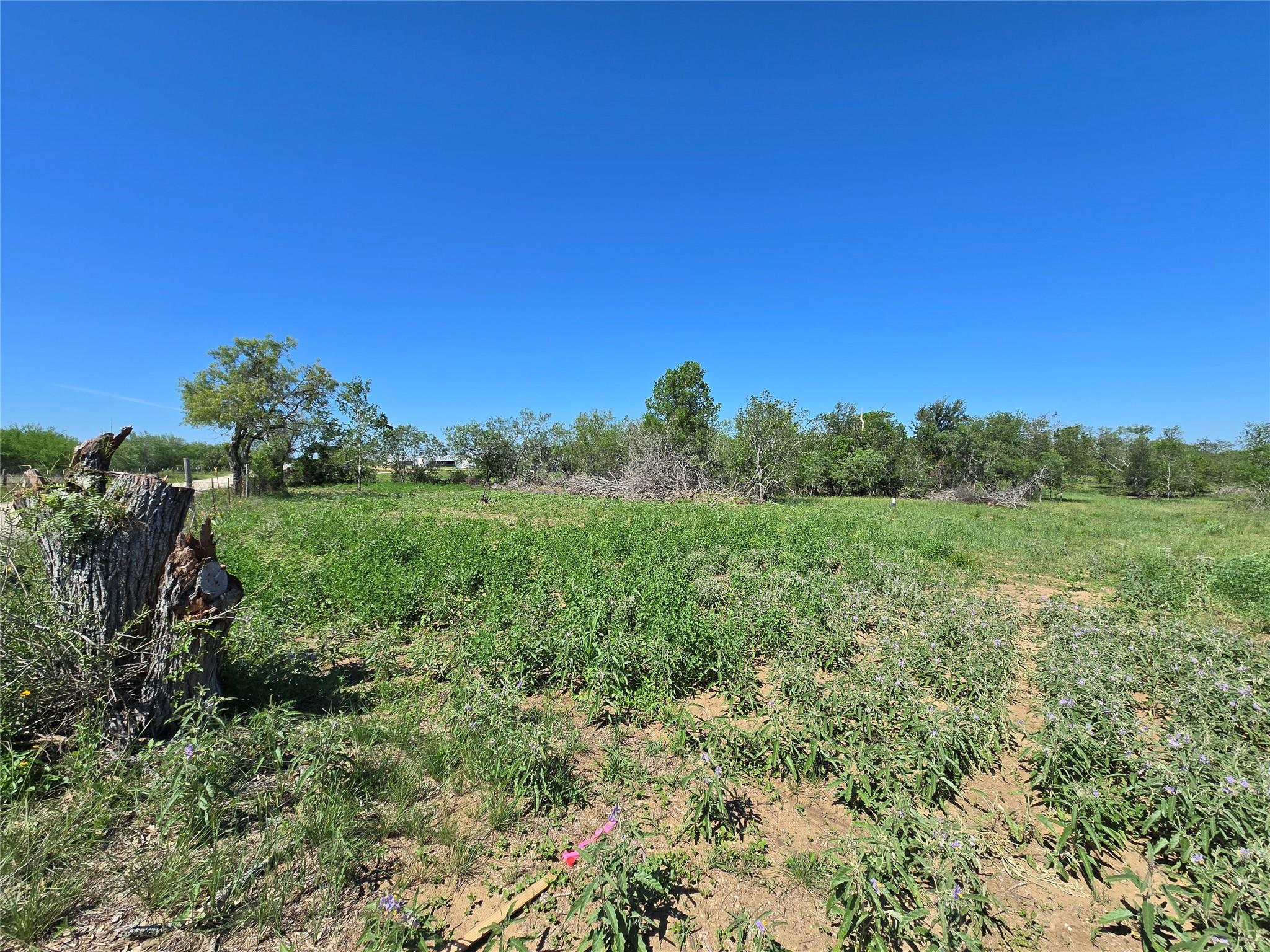 Sawlog Bend