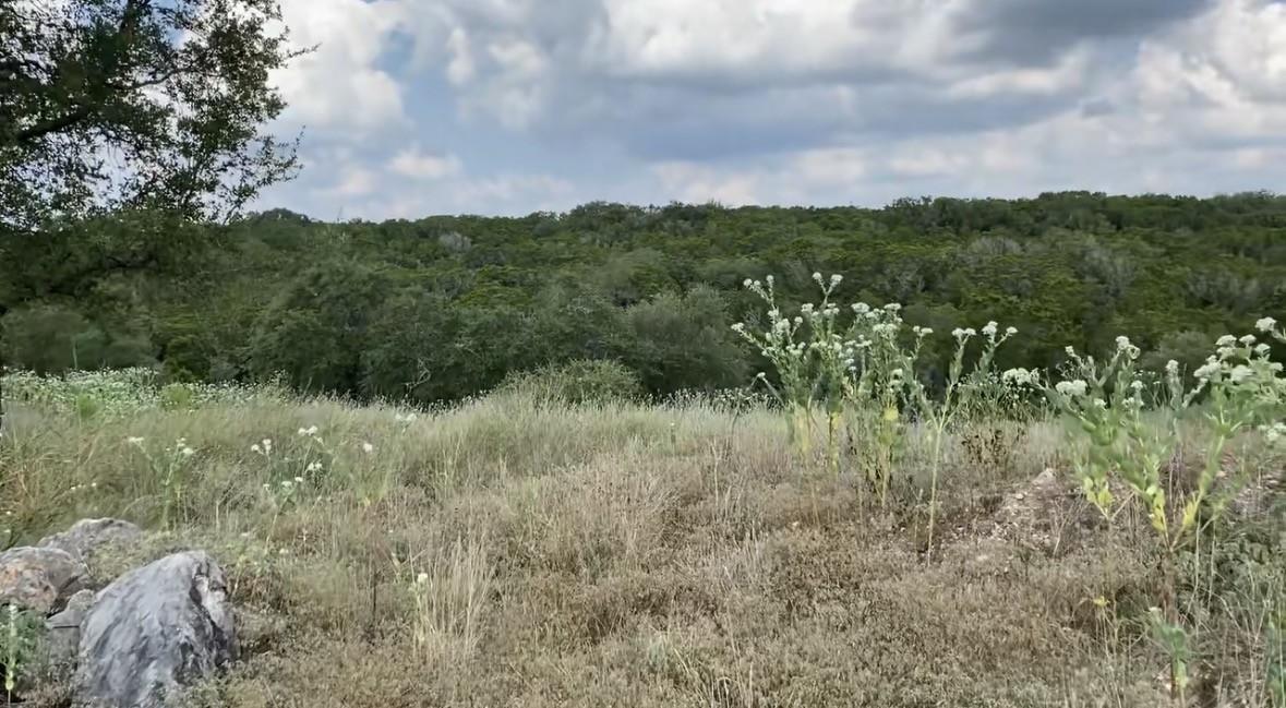 1173 Hilltop RDG, New Braunfels, TX 78132 photo 2