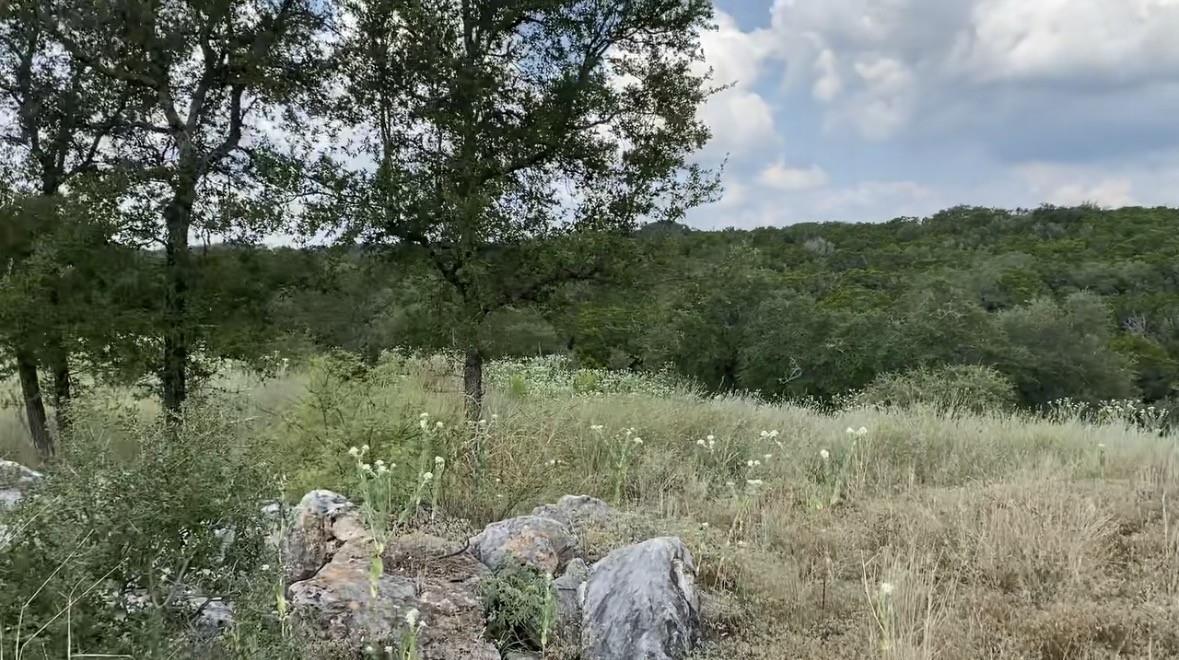 1173 Hilltop RDG, New Braunfels, TX 78132 photo 3