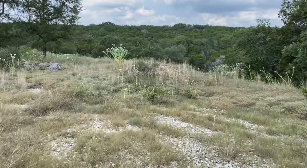 1173 Hilltop RDG, New Braunfels, TX 78132 photo 5