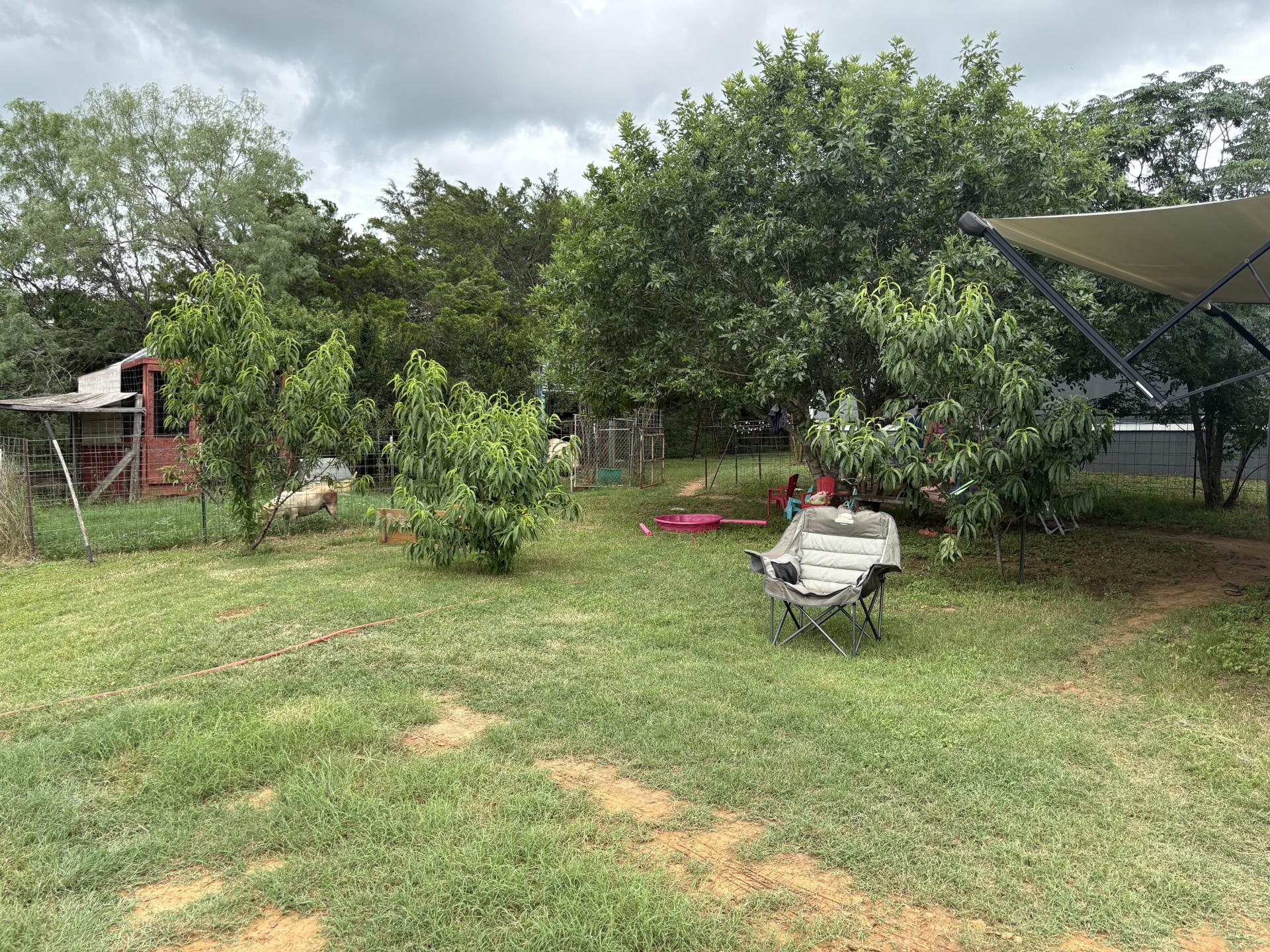 2990 304 Highway, Rosanky, TX 78953 photo 5