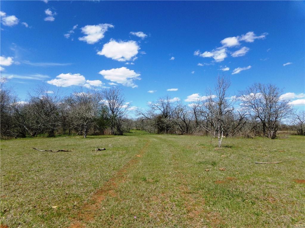 TBD FM 619, Thrall, TX 76578 photo 5
