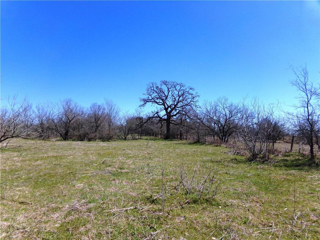 TBD FM 619, Thrall, TX 76578 photo 4