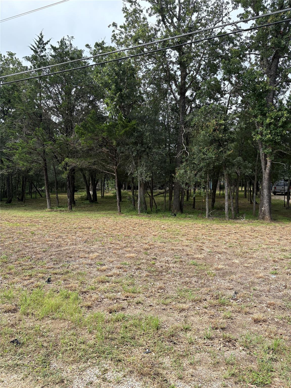 219 High View Ranch DR, Cedar Creek, TX 78612 photo 5