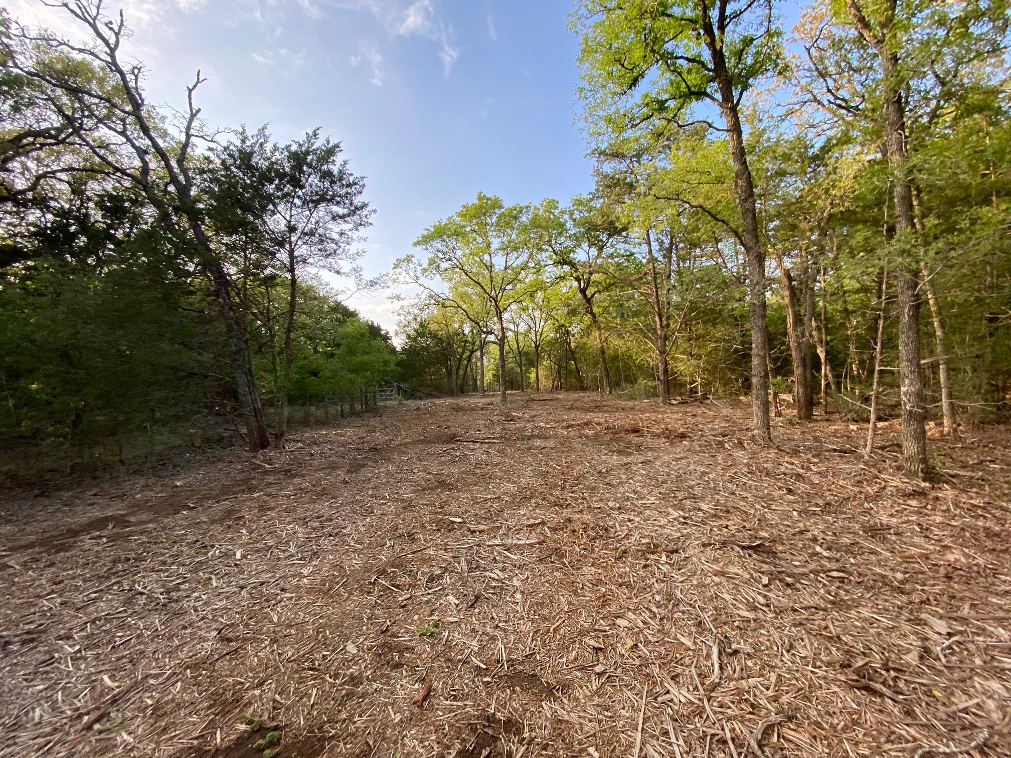 TBD Parcel 2 Paffen DR, Paige, TX 78659 photo 3