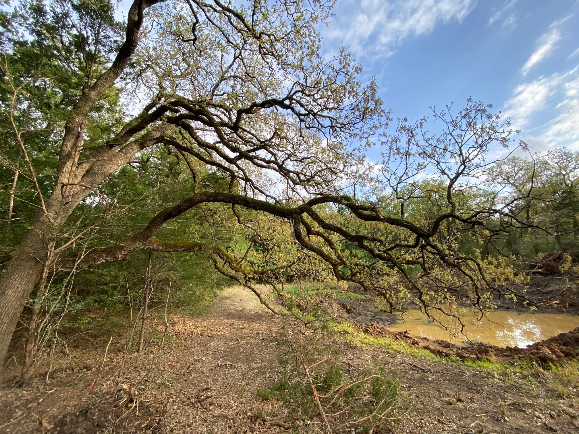 Tierra Escondida