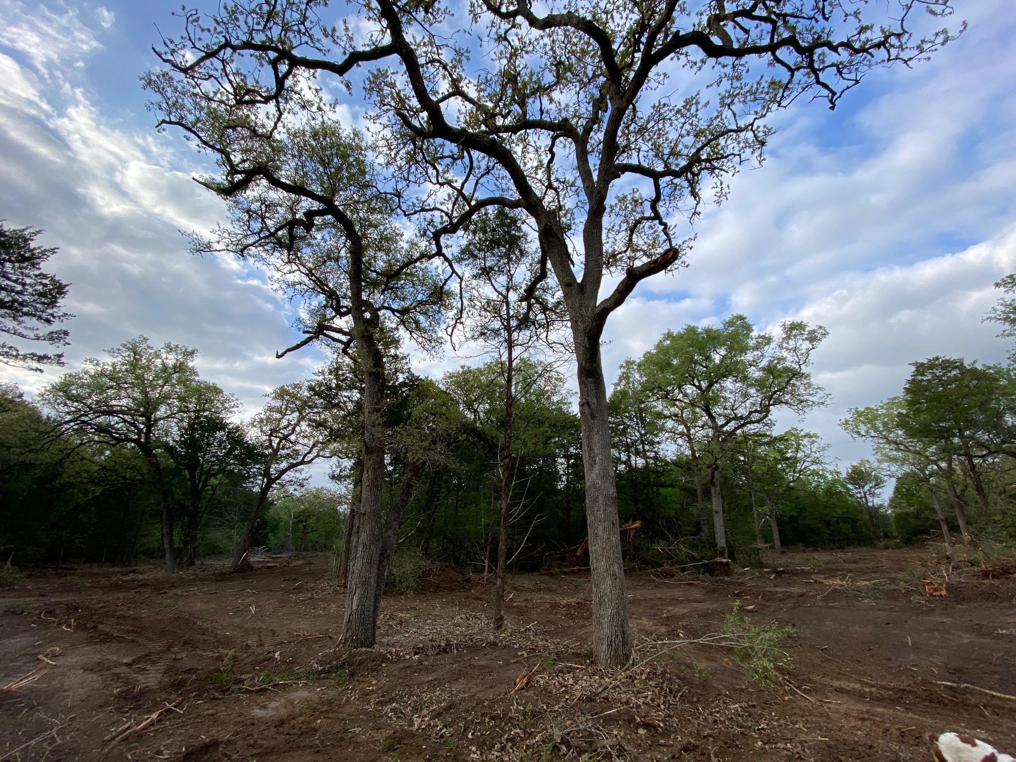 TBD Parcel 2 Paffen DR, Paige, TX 78659 photo 5