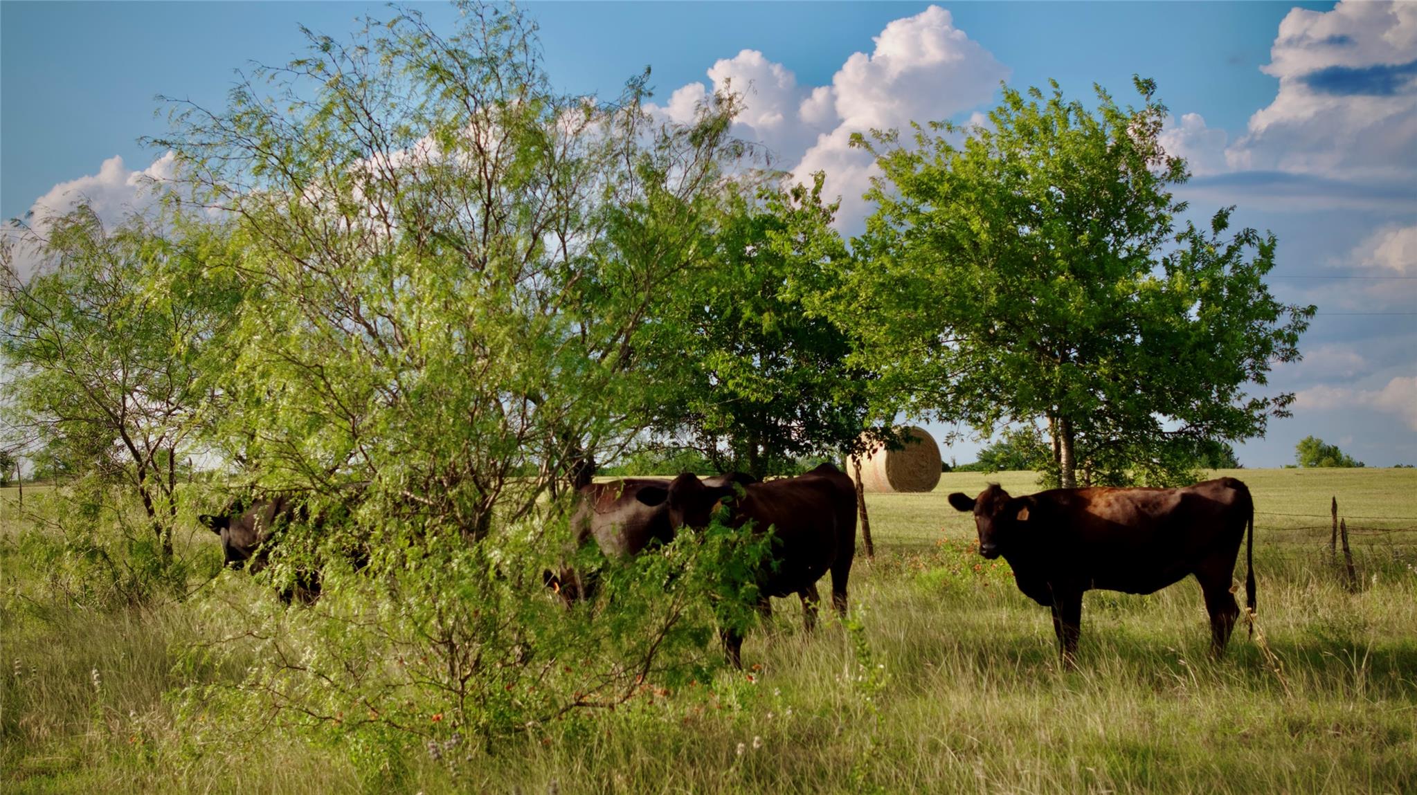 414 Cr 463, Bruceville-Eddy, TX 76524 photo 4