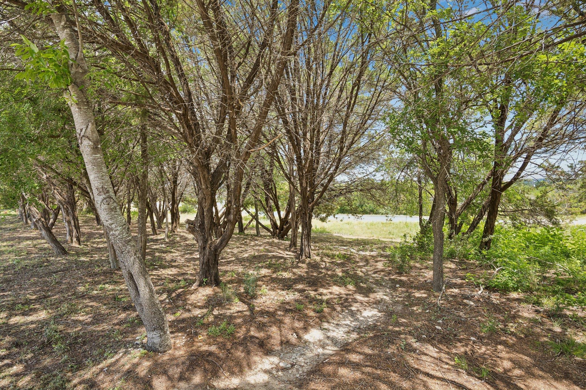 20701, 20703, 20705 Dawn DR, Lago Vista, TX 78645 photo 4