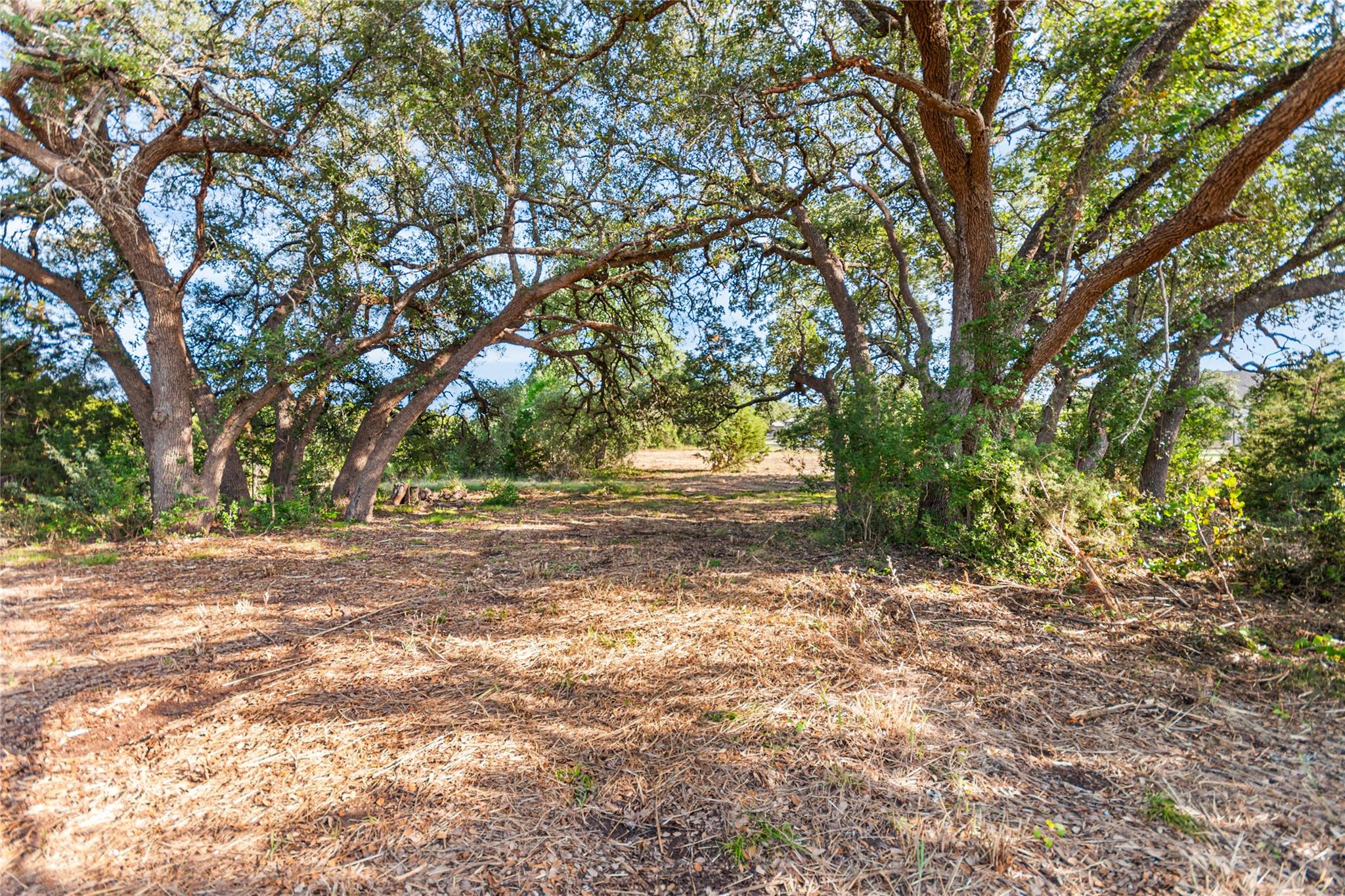 Lot 160 Brumley View CT, Marble Falls, TX 78654 photo 2