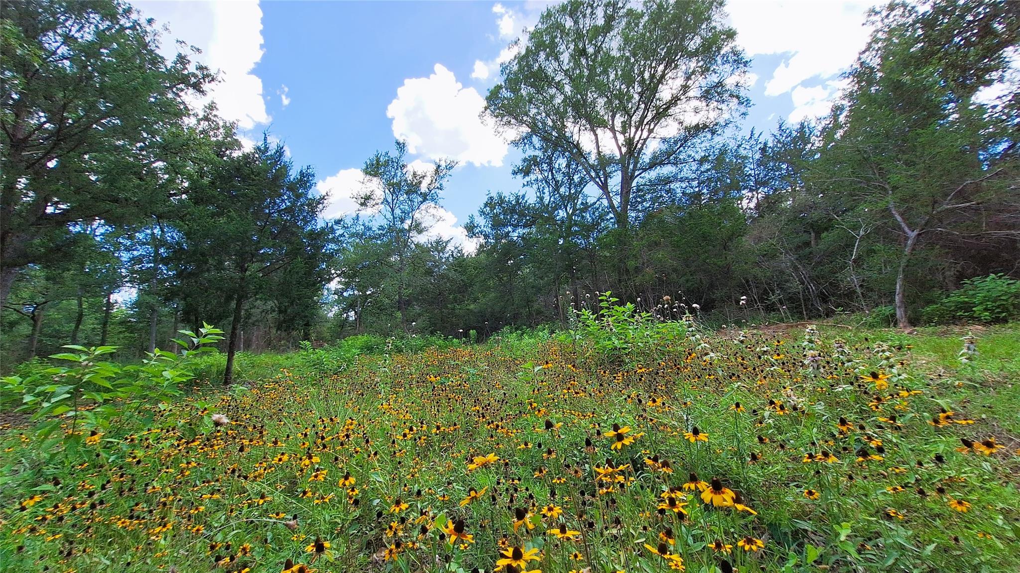 Beaver Creek Land Owners