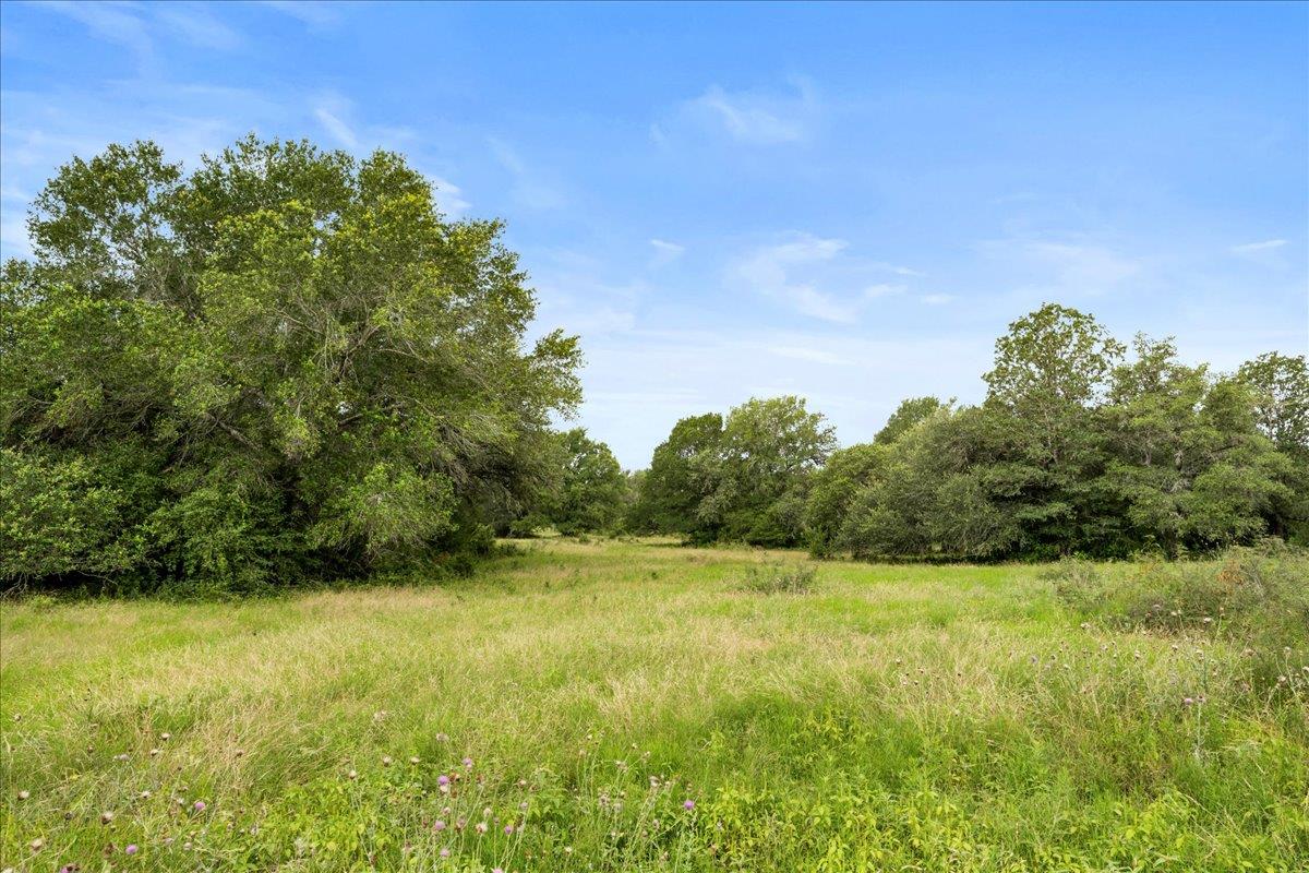 8413 Mach RD, La Grange, TX 78945 photo 5