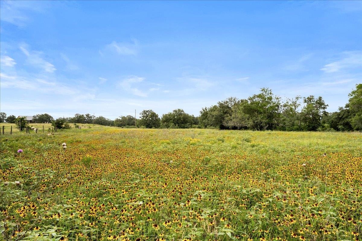 8413 Mach RD, La Grange, TX 78945 photo 4
