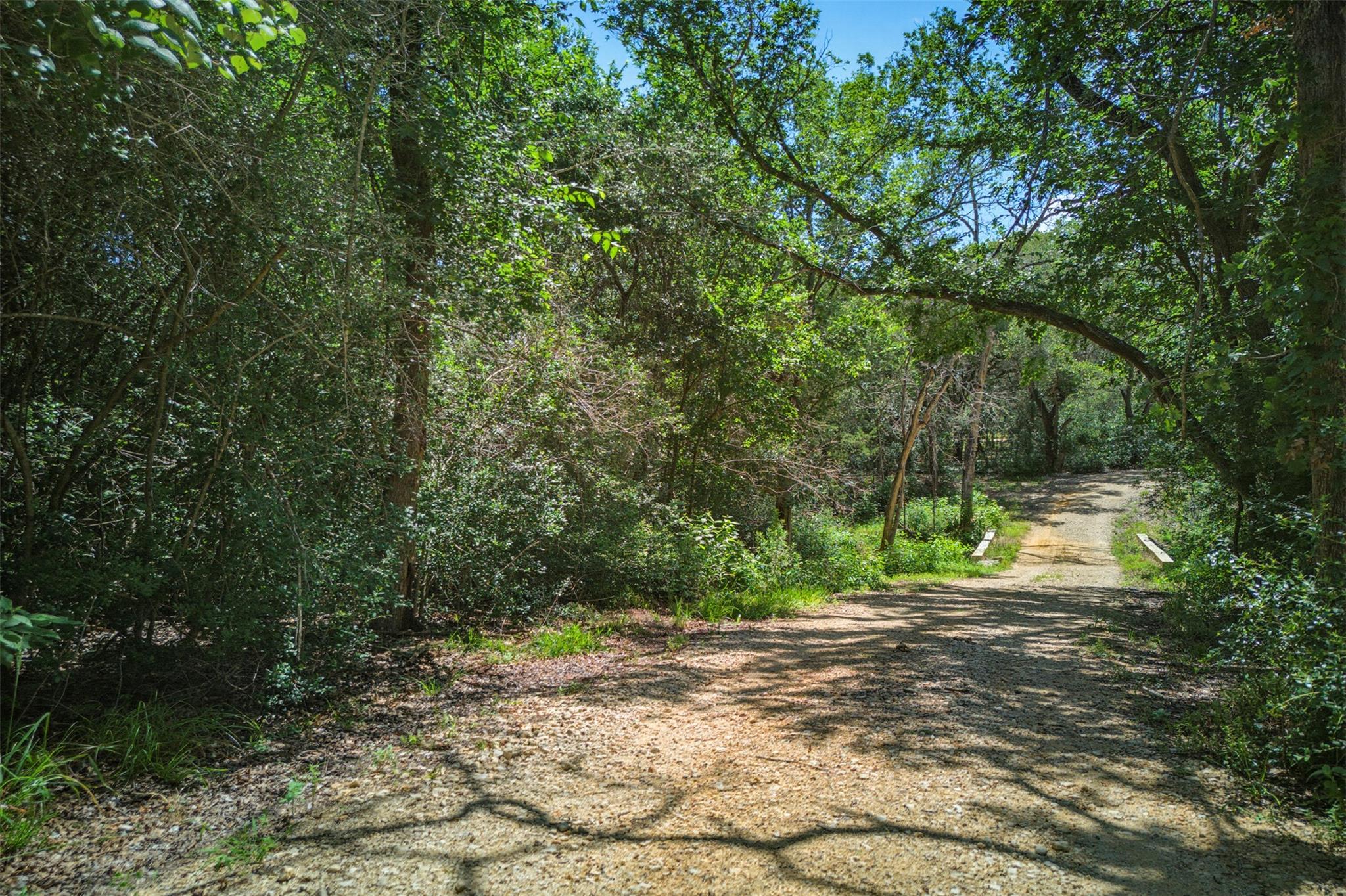 1156 County Road 437, Harwood, TX 78632 photo 5