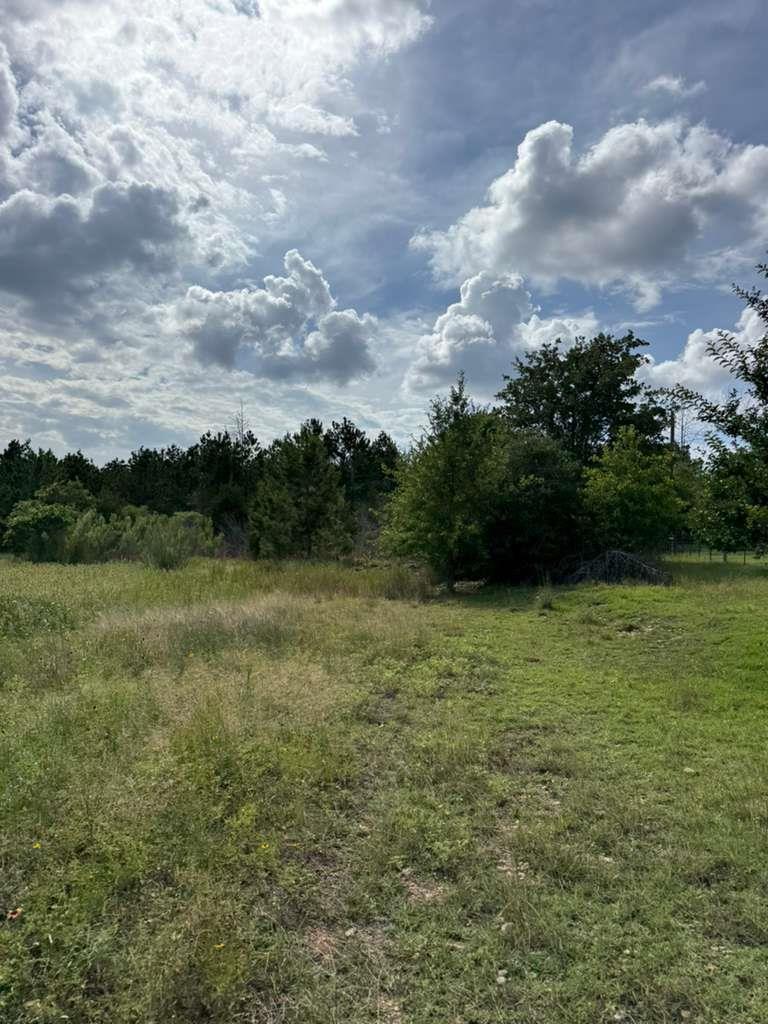 109 Pintail LN, Paige, TX 78659 photo 2