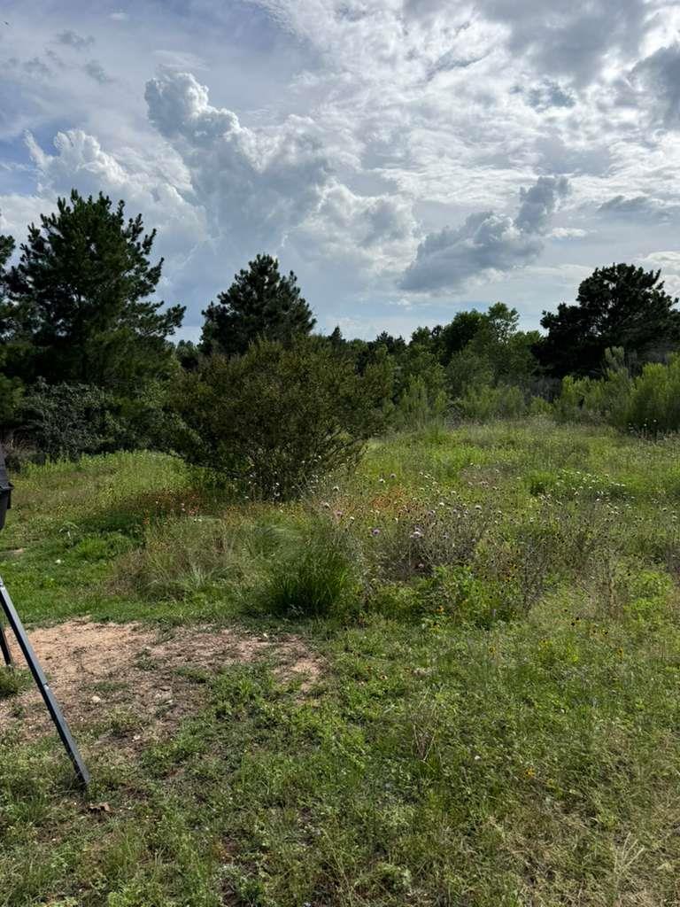 109 Pintail LN, Paige, TX 78659 photo 3