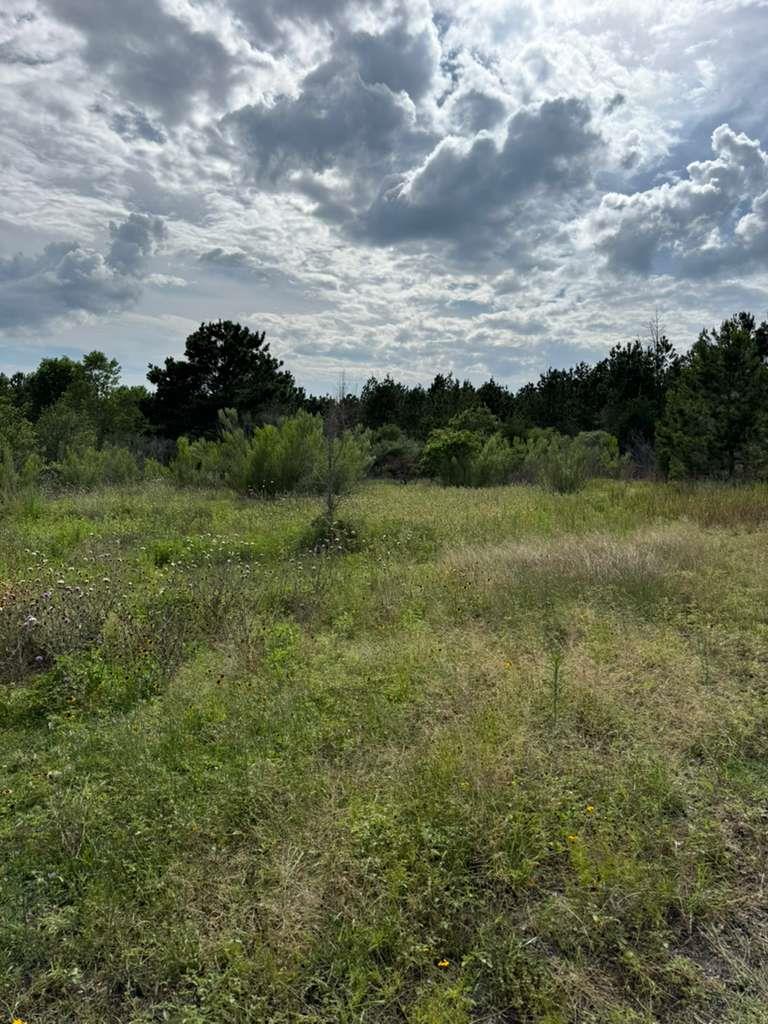 109 Pintail LN, Paige, TX 78659 photo 4