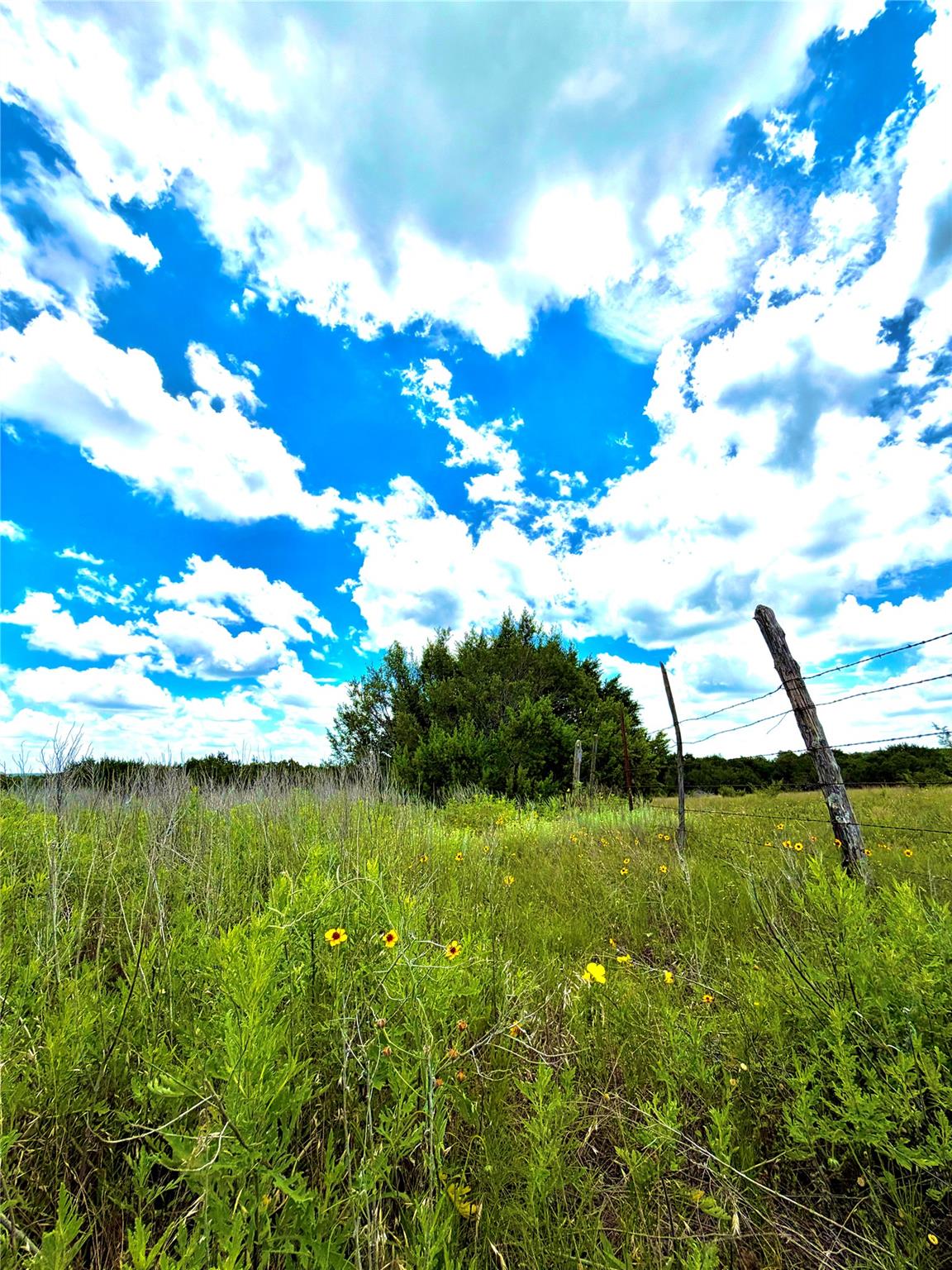 TBD Tract 76 Adobe Hill DR, Stephenville, TX 76401 photo 4