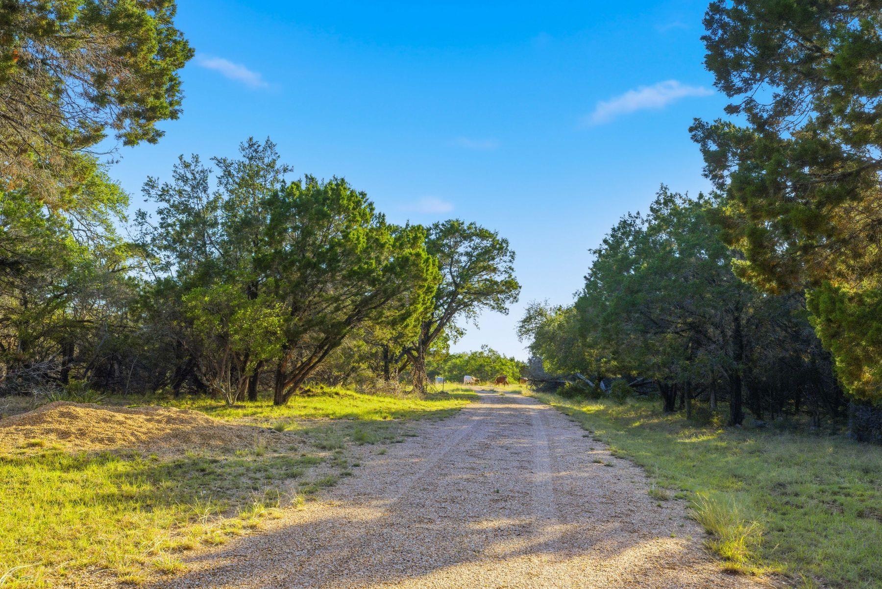 3303 Fearless Treadway, Round Mountain, TX 78663 photo 4