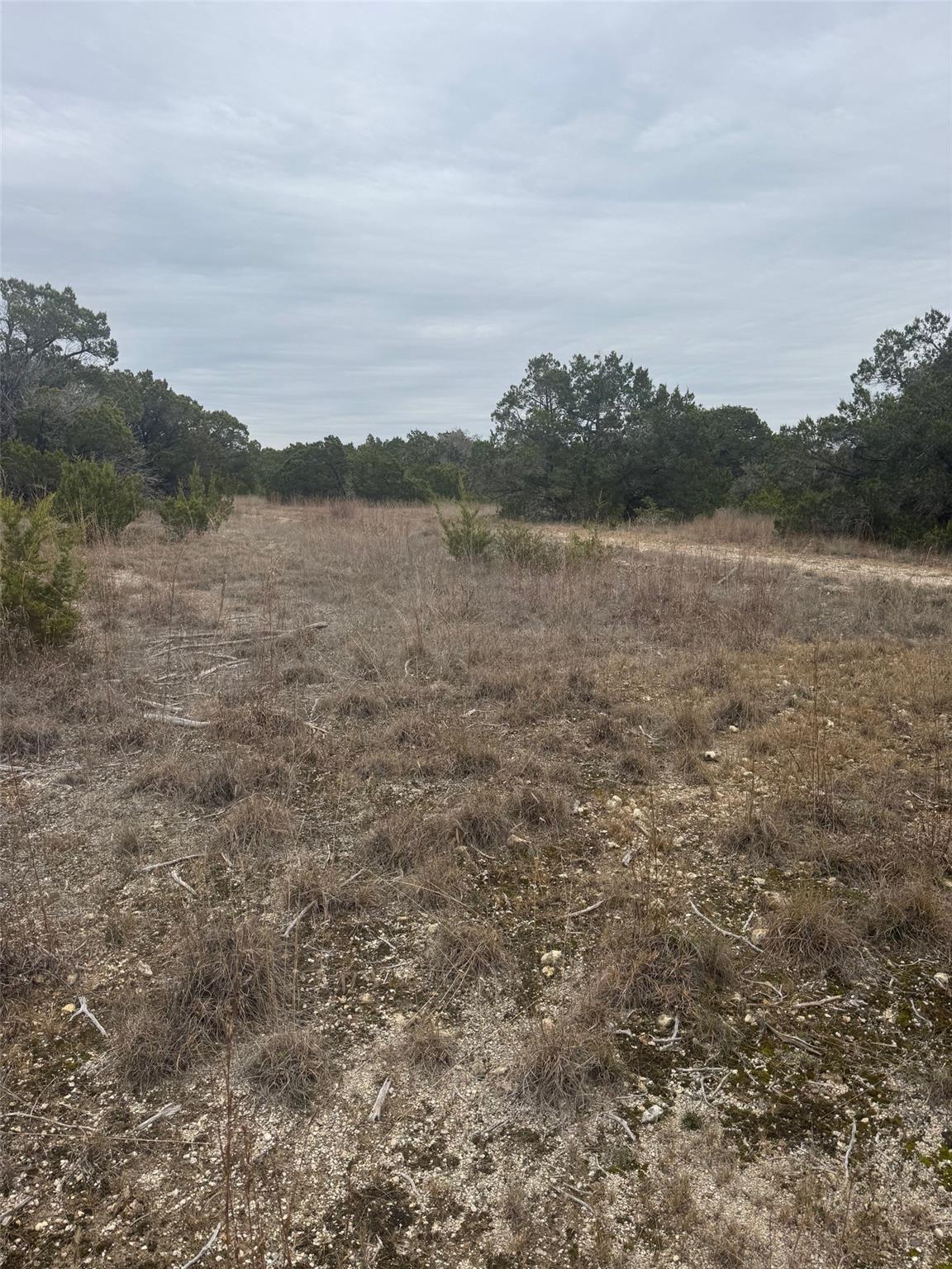 31822 Mirela Anne RD #Lot 4F & 4E, Dripping Springs, TX 78620 photo 5