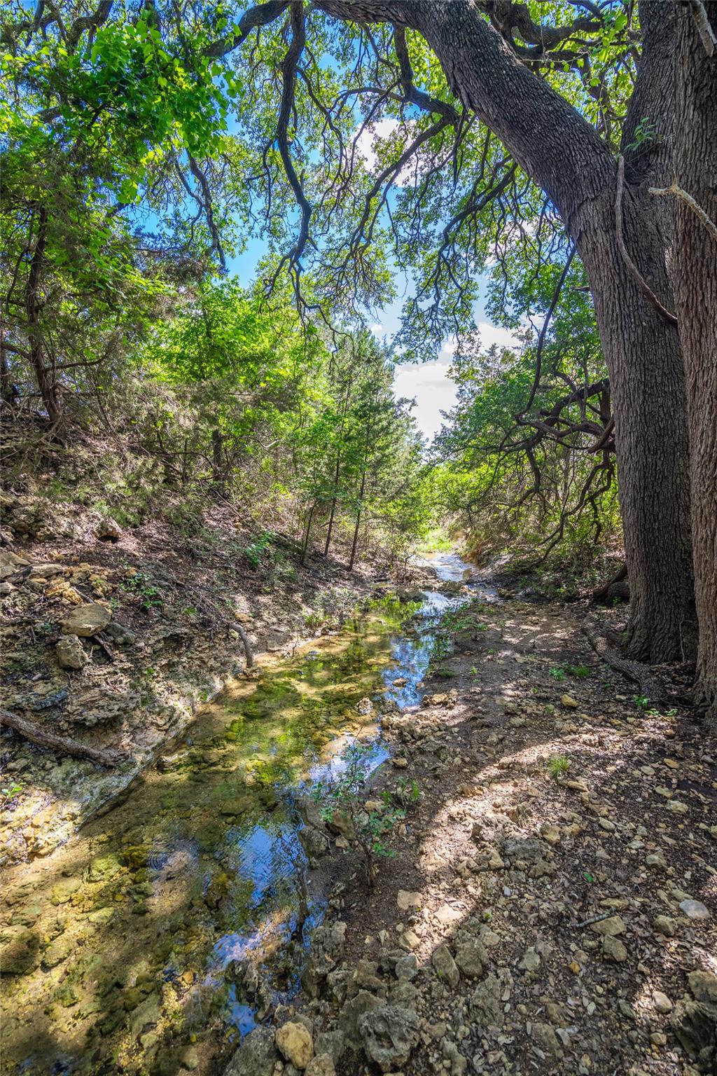 9750 RM-243, Bertram, TX 78605 photo 3