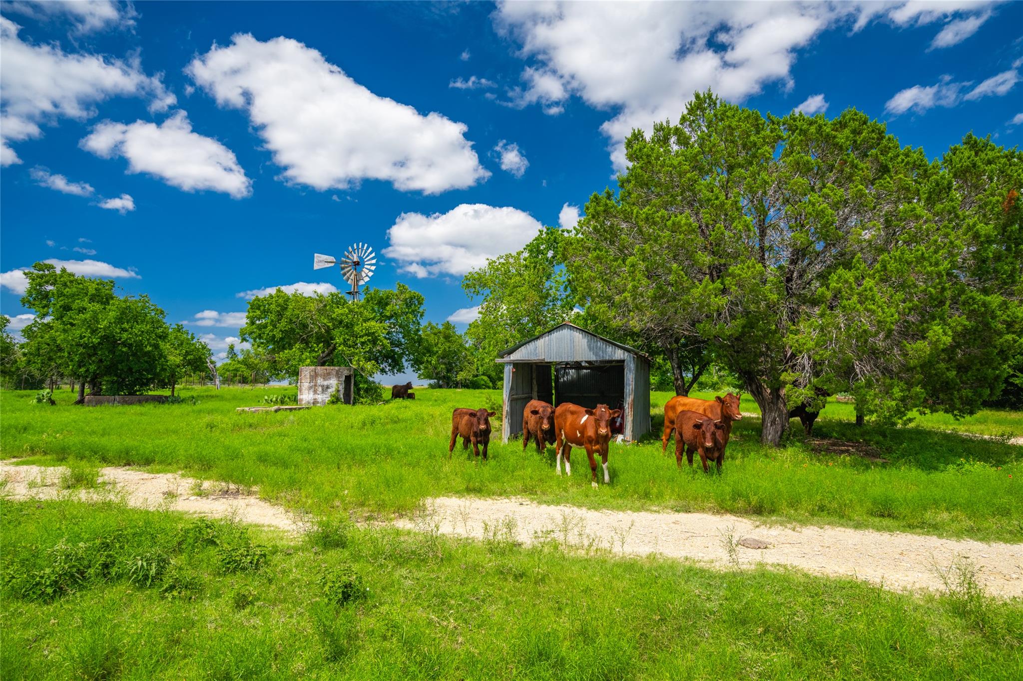 9750 RM-243, Bertram, TX 78605 photo 4